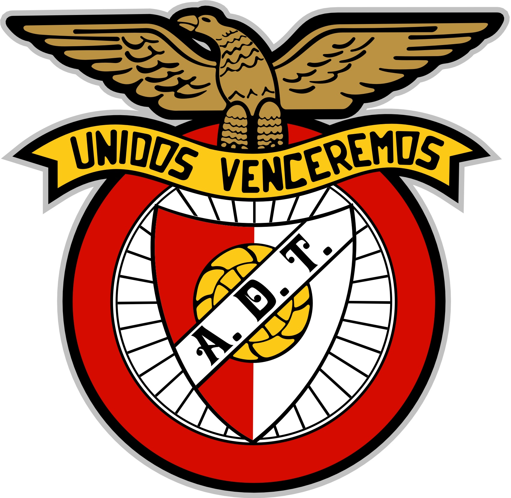 Associação Desportiva de Travassô